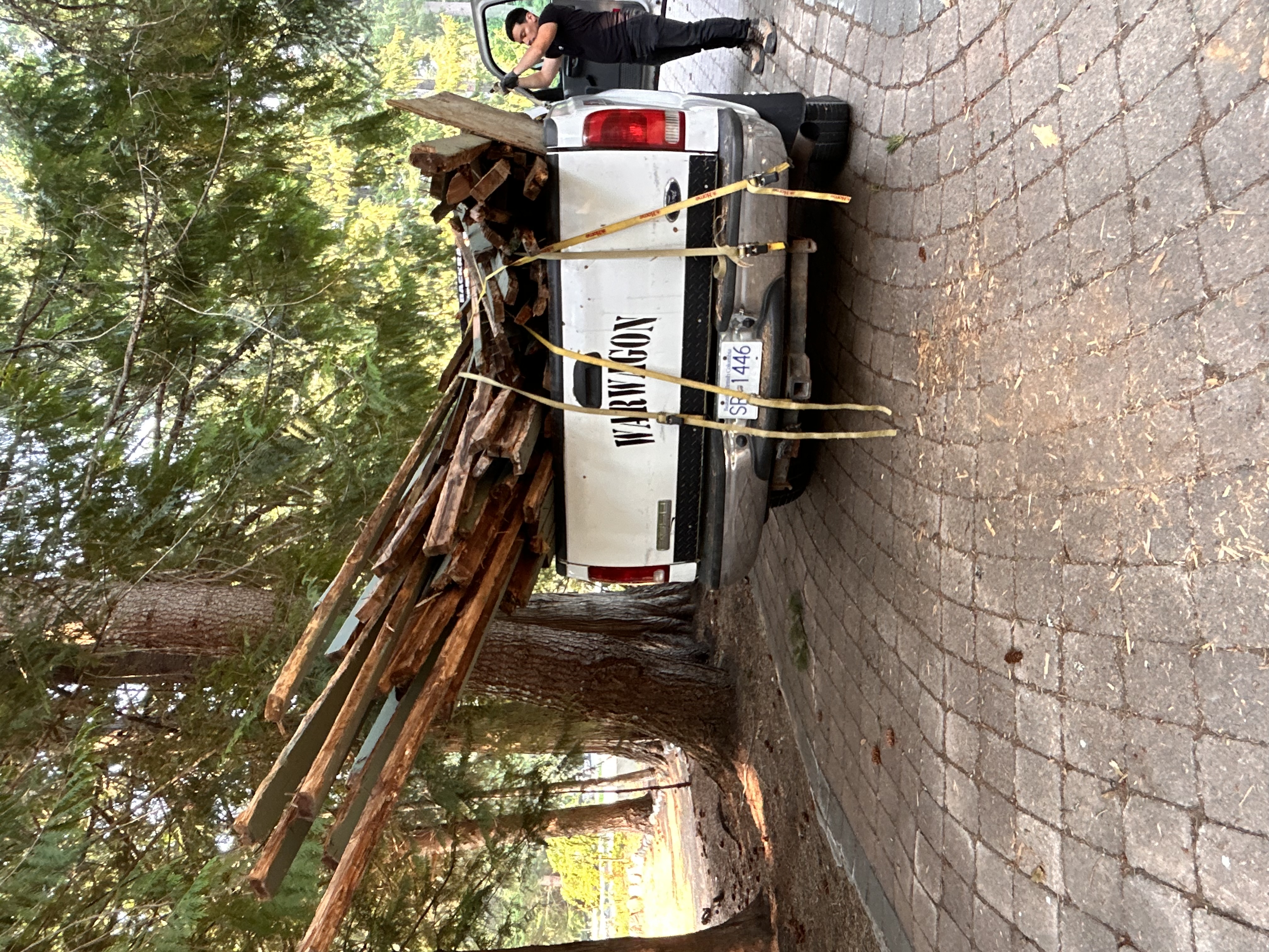 Yard Cleanup